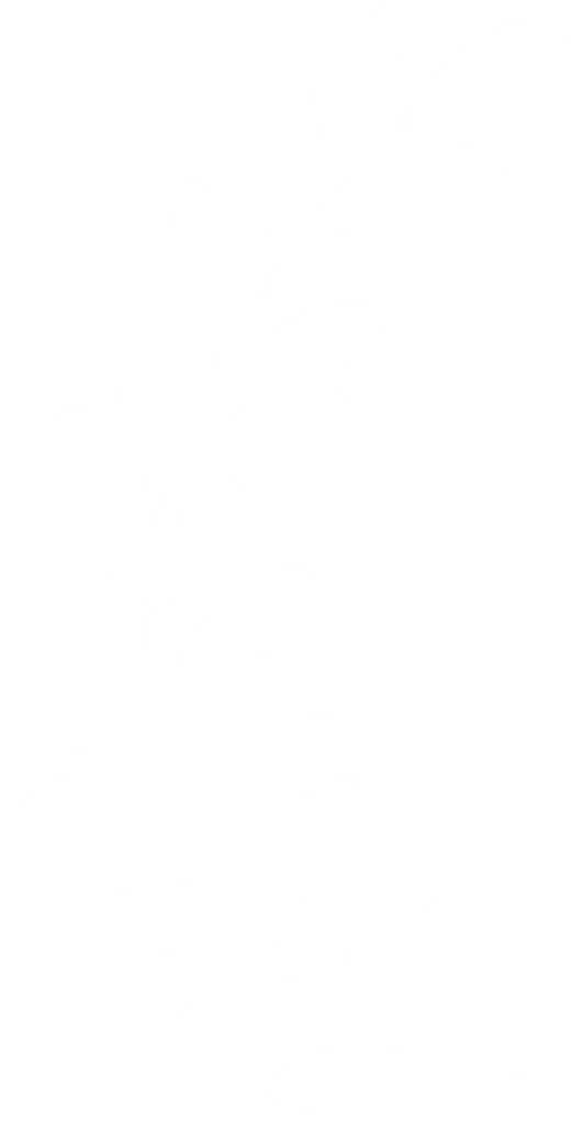 Tree decoration