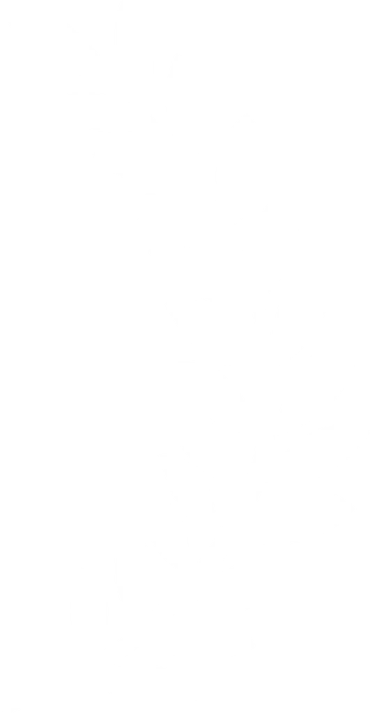 Tree decoration